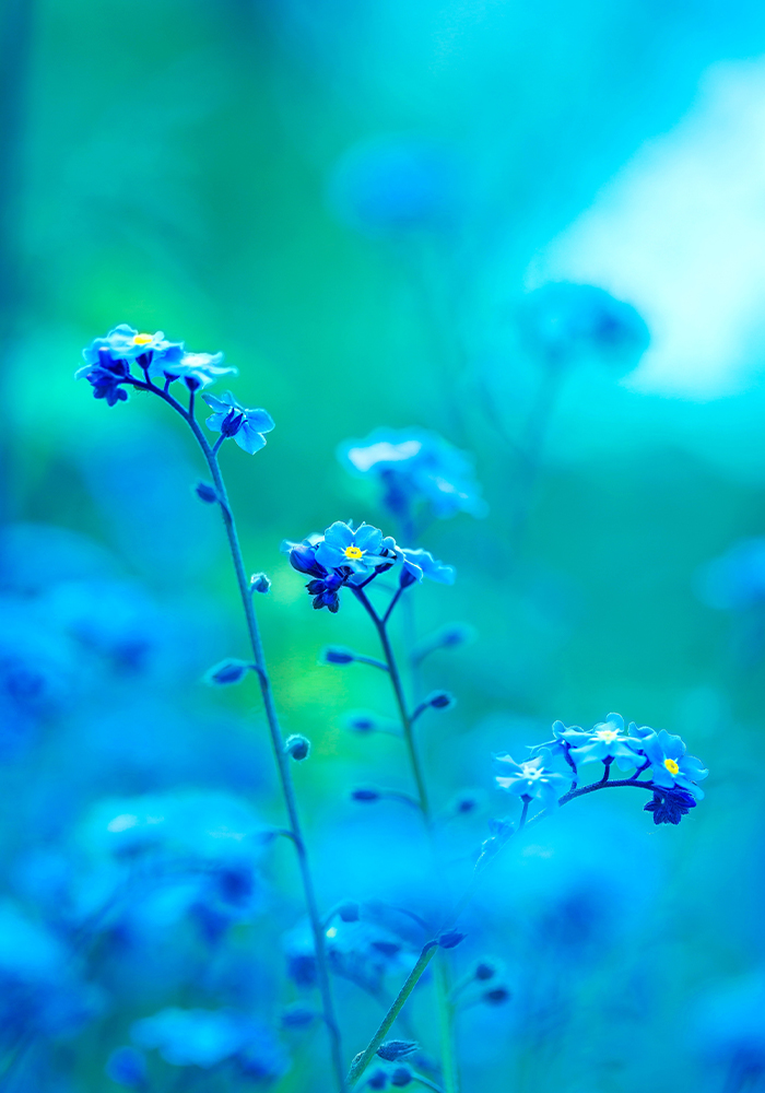 MM_Clairvoyance_1000x700 Clairvoyant Readings